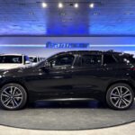 BMW X2 xDrive25e 162 kW (220 CV)