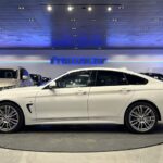 BMW Serie 4 435d xDrive Gran Coupe 230 kW (313 CV)